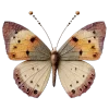 🦋