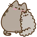 🐈