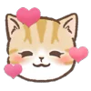 🐱