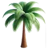 🌴