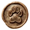 🌟
