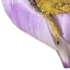 🤩