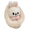 🐰