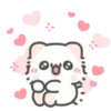 🐱