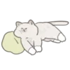 🐱