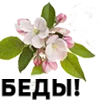 🌸