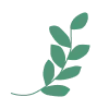 🌿