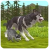 🐺