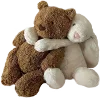 🐻