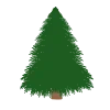 🌲