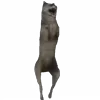 🕺