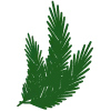 🌲