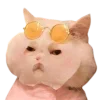 😾