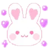 🐰