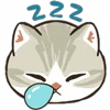 😴