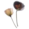 🌹