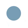 🔵