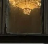 ✨