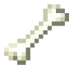 🦴