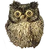 🦉
