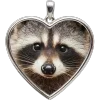 🦝