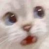 😳
