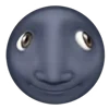 🌚
