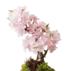 🌸