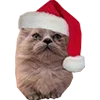 🎅