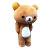 🐻