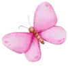 🦋