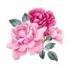 🌺