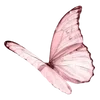 🦋