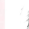 ⭐️