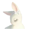 🐇