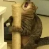 😫