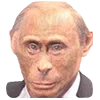 🐵