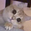 👀