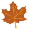 🍁