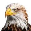 🦅