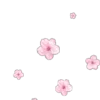🌸