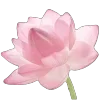 🌸