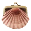 🐚