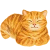 🐈