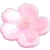 🌸