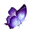 🦋