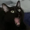 😬