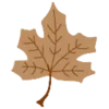 🍁