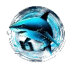 🦈
