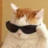 😎